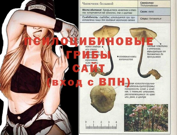 гидропоника Белоозёрский
