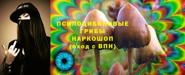 гидропоника Белоозёрский